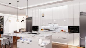 Design of kitchen in Chicago